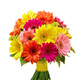 Mix Color Gerberas Bouquet