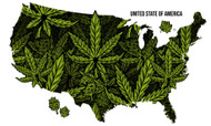 How Hemp is Good for Sustainable Business
