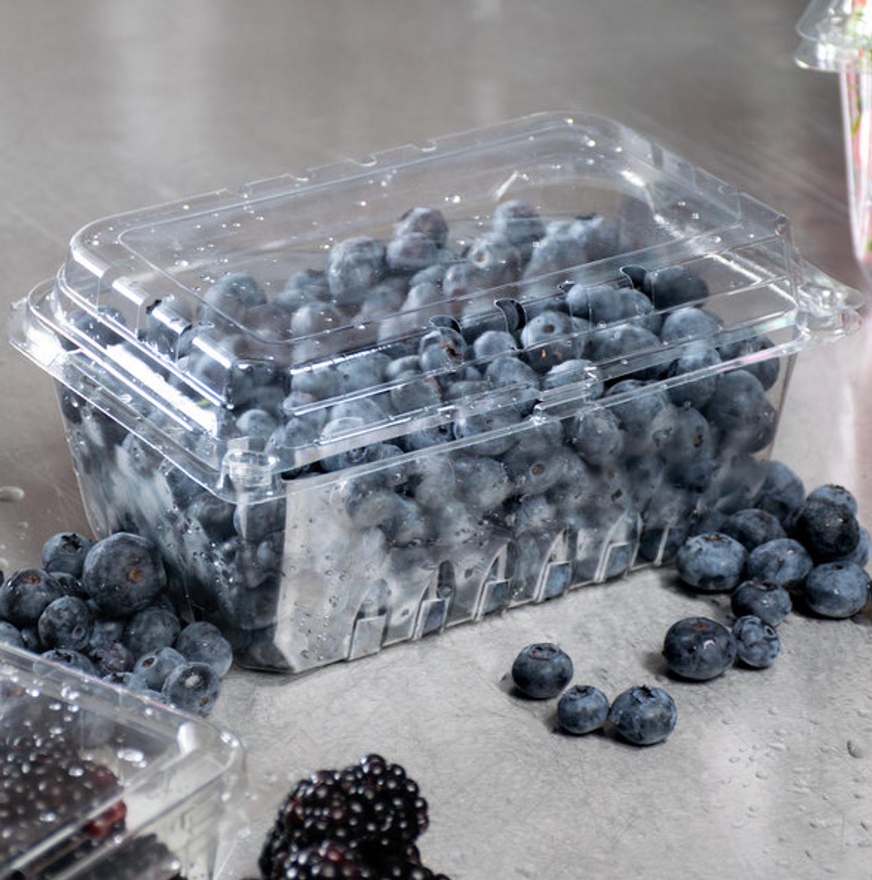 Clear Vented Clamshell Berry Container (1 Qt. & 320/Case)