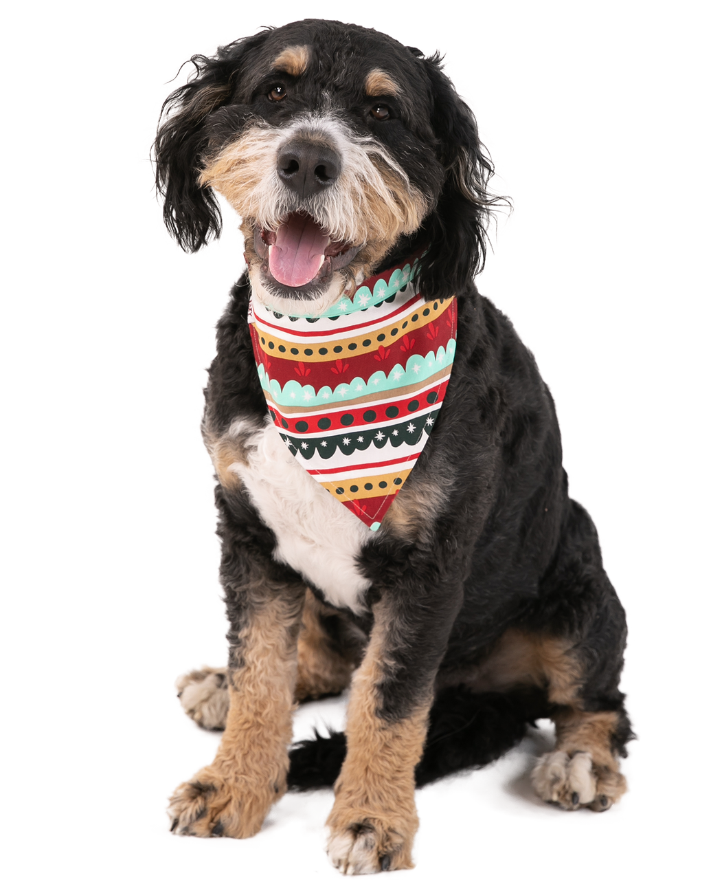 Special Delivery Dog Bandana