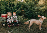 Christmas Family Traditions