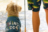 Fun Dog Accessories for Your Furry Best Friend