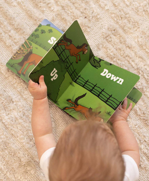  Horse's Book of Opposites Children's Book 