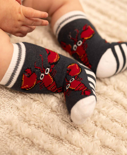  Lobster Stripe Infant Sock 