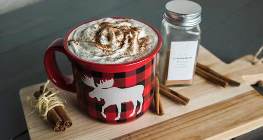 whipped cream topped hot cocoa in a ceramic plaid mug with a moose printed on it