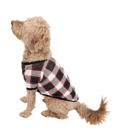 Black Plaid Dog Shirt1