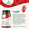 CoQ10 plays a vital role in cellular energy production.* Aging and typical everyday stress can reduce our body’s production of this important nutrient, making supplementation helpful to support heart health and muscle recovery.*