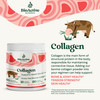 Unflavored Collagen with Hyaluronic Acid 20 oz