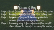 4 Stages of Sleep