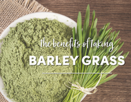 The Benefits of Barley Grass