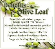 Why Olive Leaves May Be Even Healthier Than Olive Oil