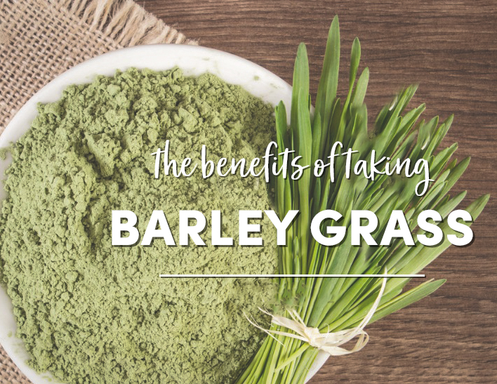 The Benefits Of Barley Grass BioActive Nutrients   Benefits Of Barley Grass 1 No Logo 