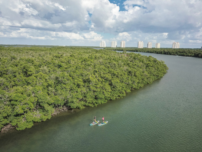 Off the Beaten Path: Uncover Hidden Gems for Exhilarating Paddle Boarding Experiences