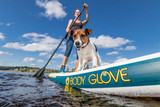 Paddle Boarding Pups: A Guide to Taking Your Dog on the Water