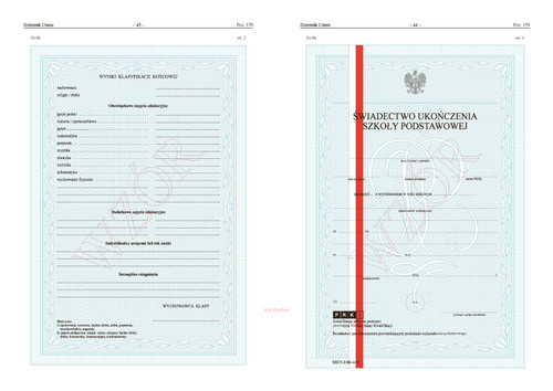 Primary Education Certificate