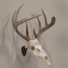 Allen Company EZ Mount Skull Hanger