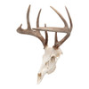 Allen Company EZ Mount Skull Peg Hook