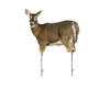 Montana Decoy Co. Trixie Whitetail Doe