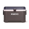 Igloo MaxCold 54QT Ice Chest