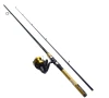 Daiwa D-Shock 6'6" Spinning Combo