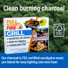 Pull Start Single Use Disposable Grill
