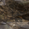 Allen Vanish Camo Netting