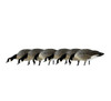 Avian-X AXP Lessers: Feeder Pack (6 Pack)