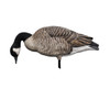 Avian-X AXP Honkers: Fusion Pack (6 Pack)