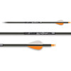 Carbon Express Game Slayer Arrows (3 Pack)