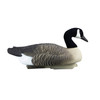 Higdon 4-Pack Alpha Magnum Canadian Goose Floater Decoy