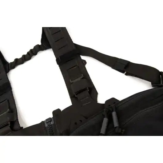 BFG Ten-Speed SF タイプ チェストリグ WG Blue Force Gear Ten-Speed Chest Rig
