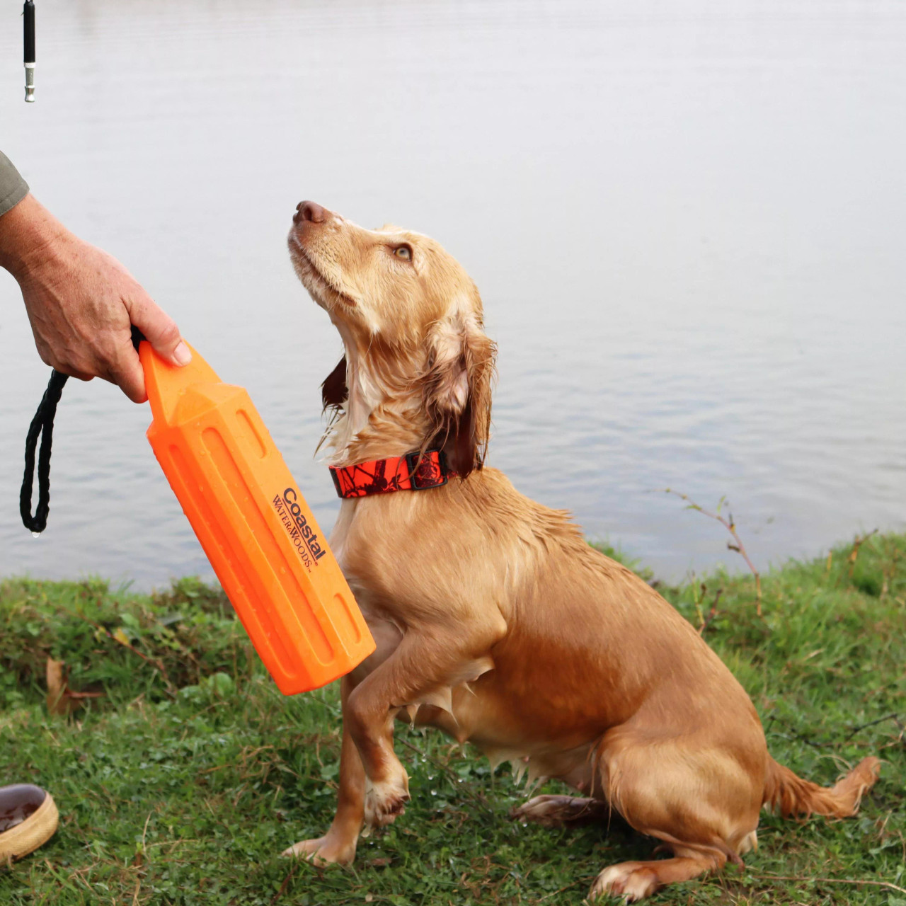 Coastal Water & Woods Vinyl Dog Training Dummies