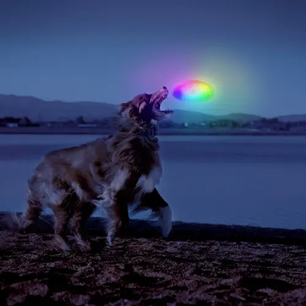 Nite Ize Flashflight Dog Discuit LED Flying Disc