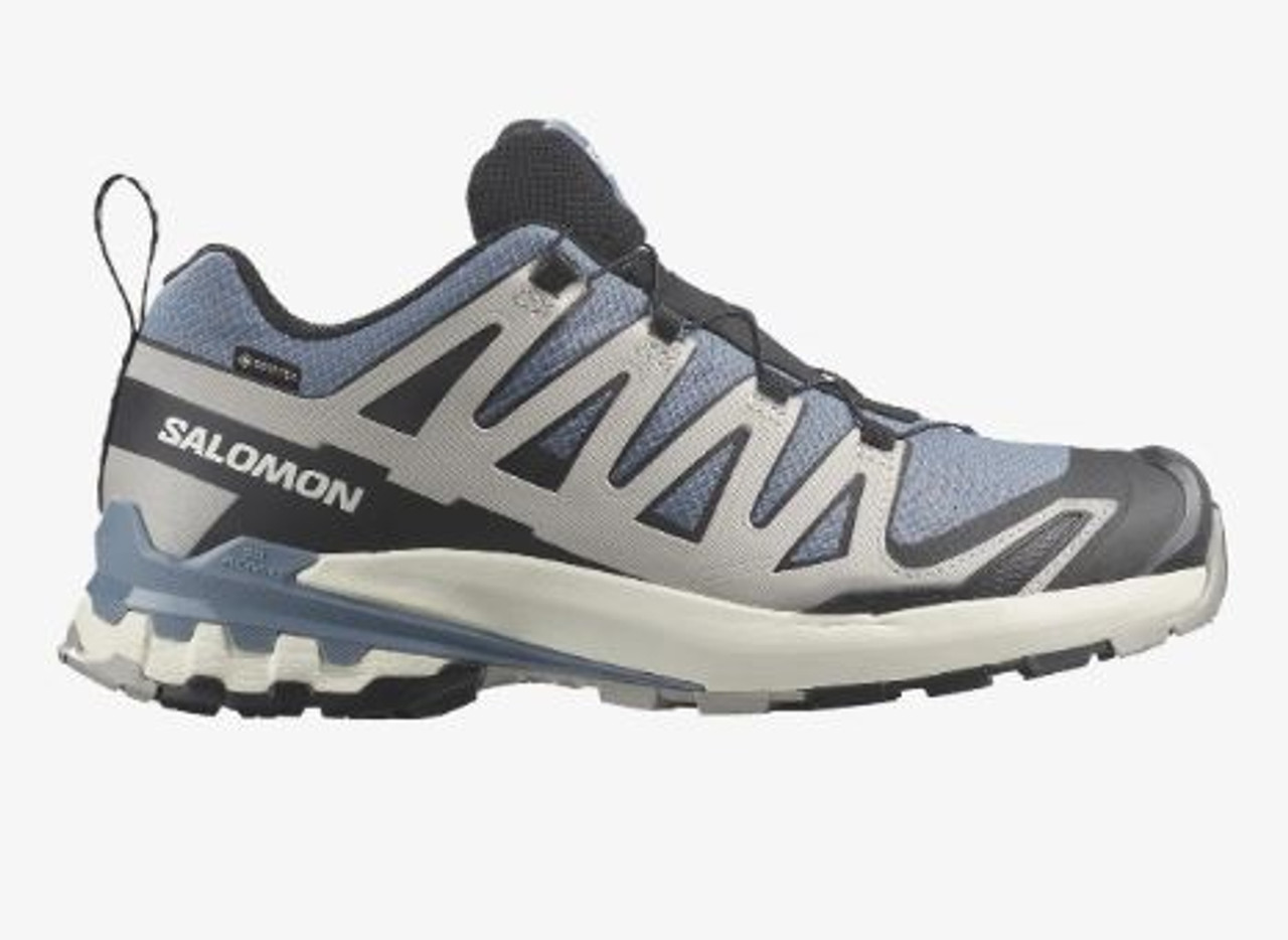 Salomon XA PRO 3D V9 Gore-Tex Men's Trail Running Shoes