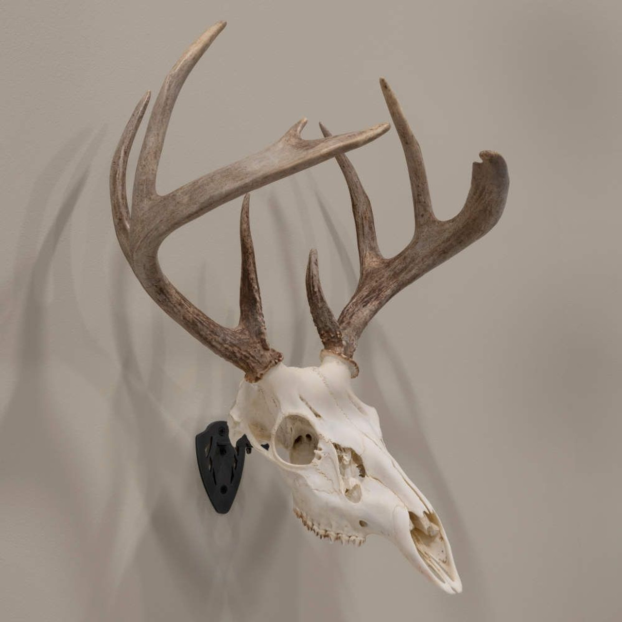 Allen Company EZ Mount Skull Hanger