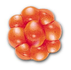Fluorescent Orange