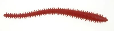 Gulp!® Sandworm