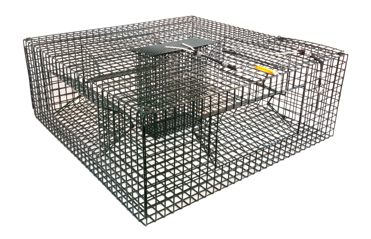  Protoco - ST30S - 19” x 30” (1” x 1” Mesh) Shrimp and Crawfish  Trap, Freshwater & Saltwater Cage Style Fishing Trap for Shrimp, Crawfish,  Crayfish, Crawdads - Black/Orange : Fishing Equipment : Sports & Outdoors