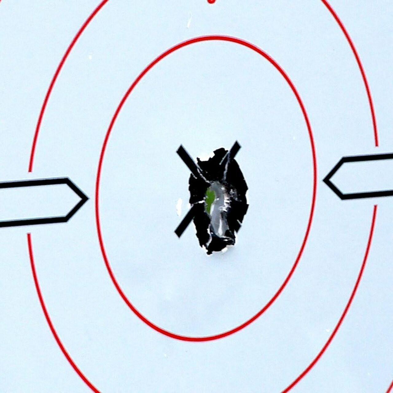 Shoot•N•C® 12" B&W Sight In- 5 Targets & 55 Pasters