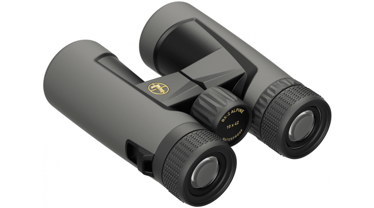 BX-2 Alpine 10x42 Binocular