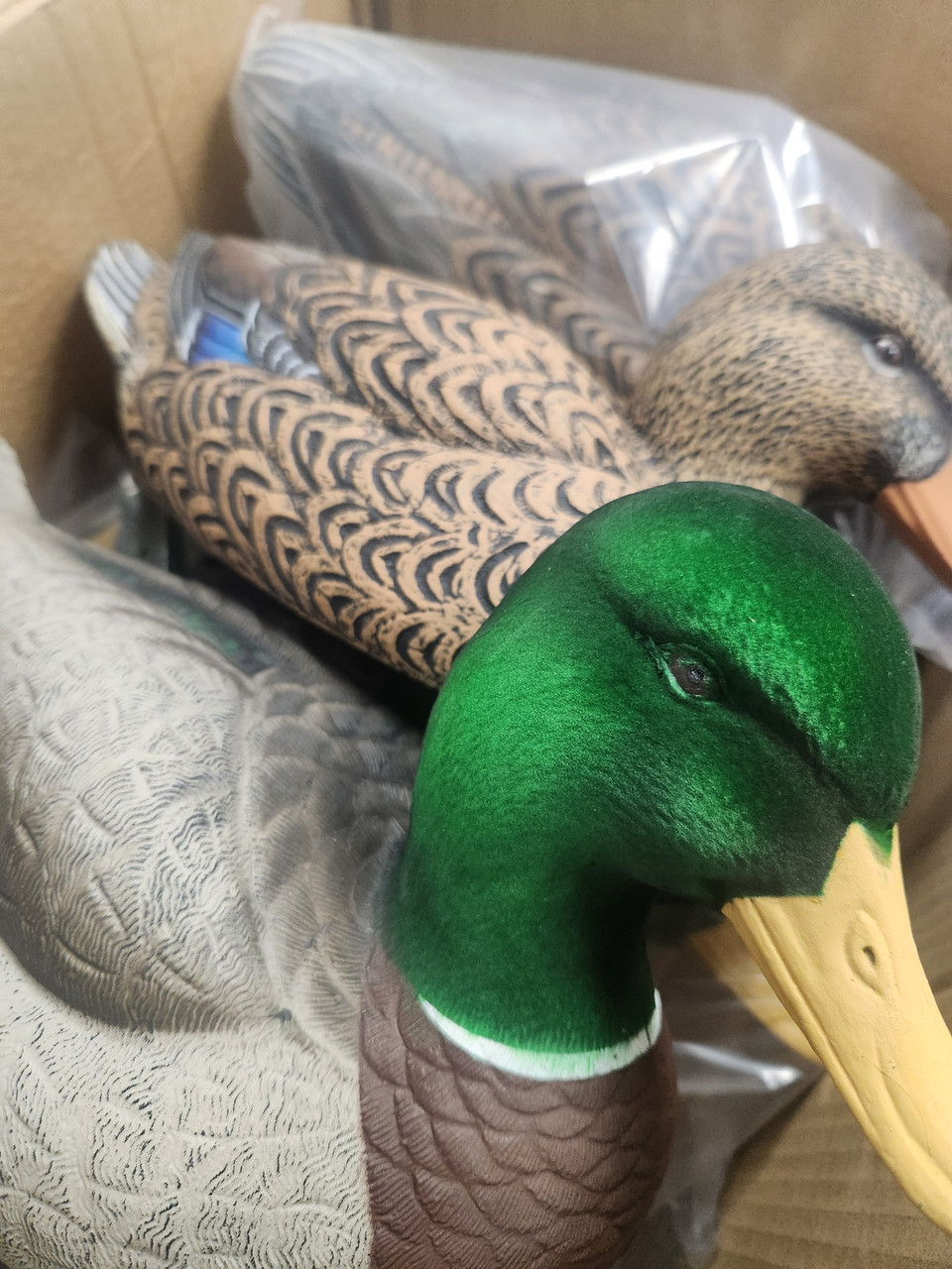 ECM Legacy Full Size Flocked Mallard (6 Pack)