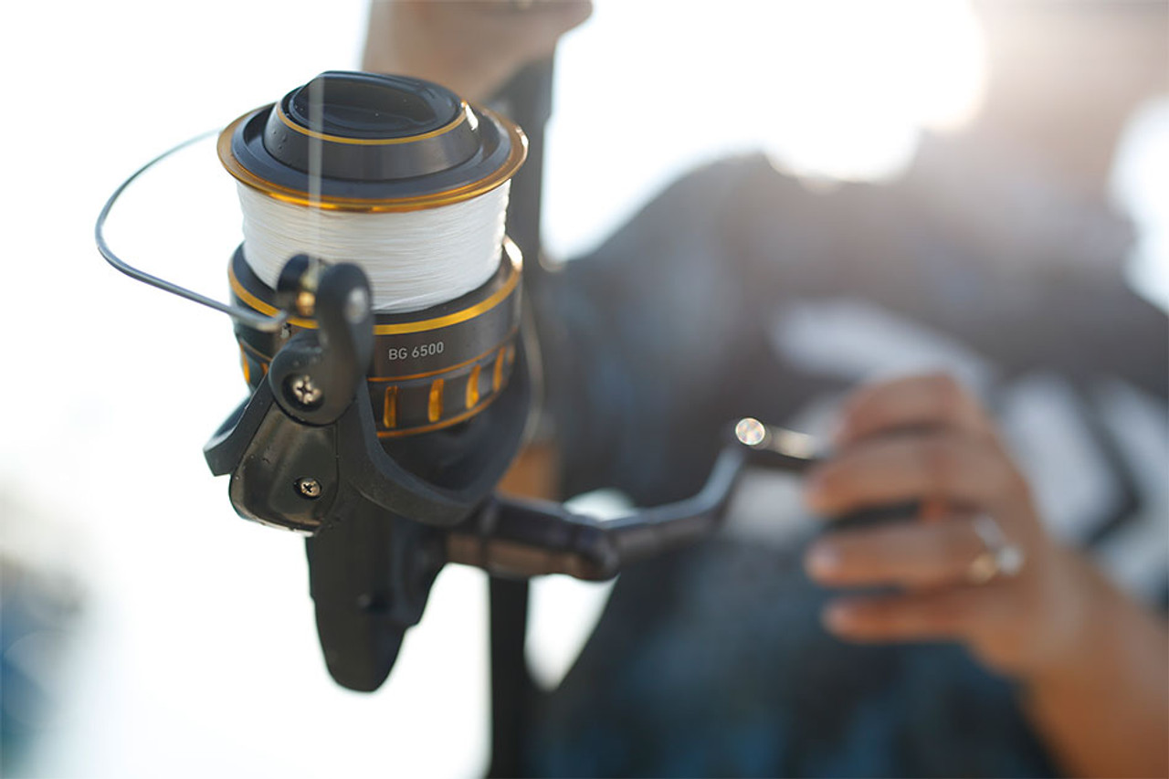 Daiwa BG4000 Saltwater Spinning Reel for sale online