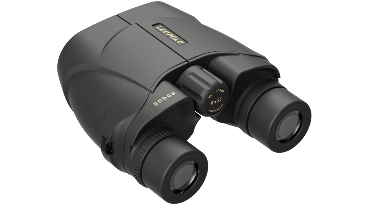 Leupold BX-1 Rogue 8X25MM Compact Binoculars