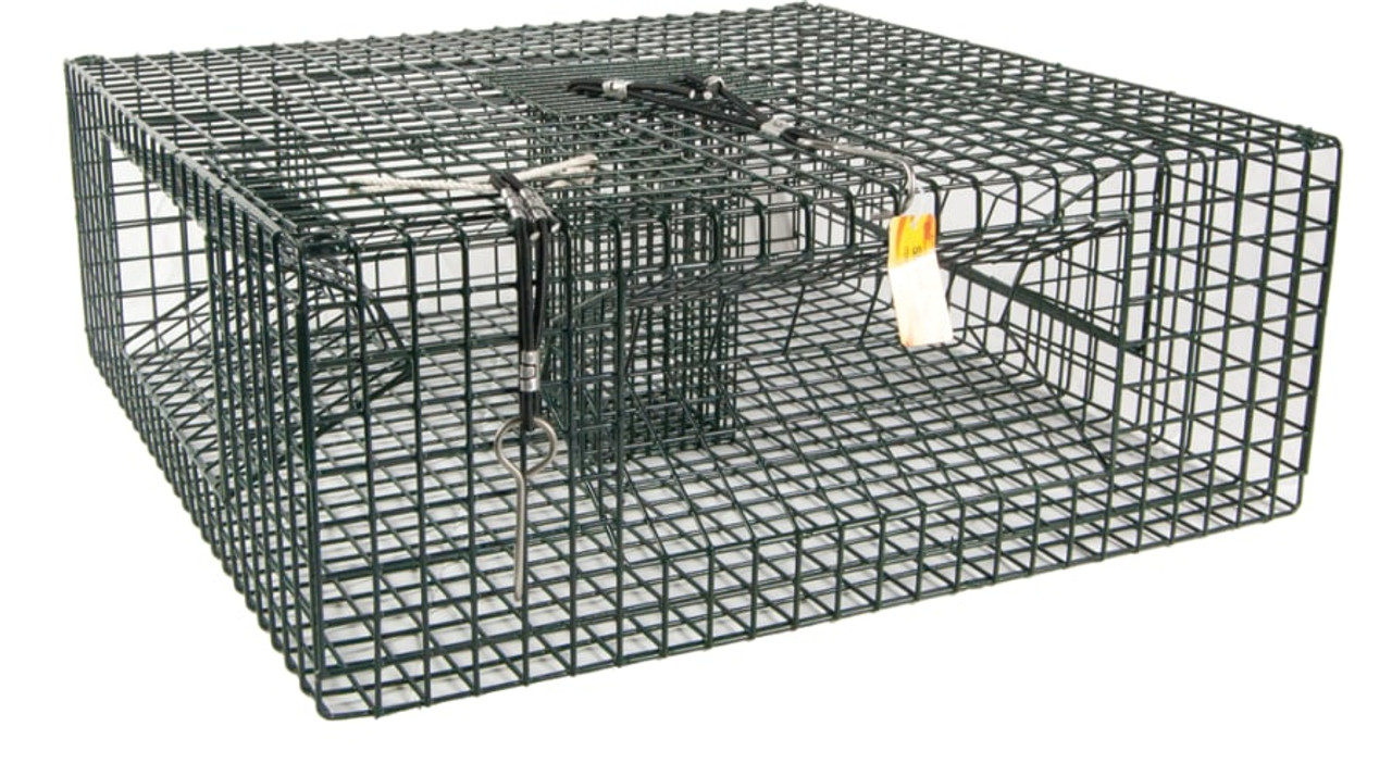 Danielson Shrimp Trap 24in. 7/8 Grid — CampSaver