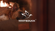 White Duck