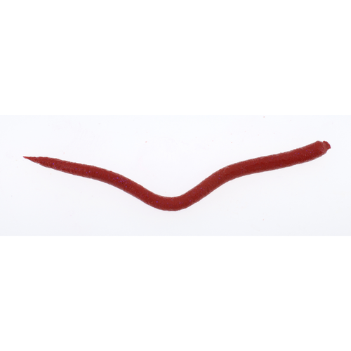 Gulp!® Extruded Bloodworm Gulp!® Extruded Bloodworm