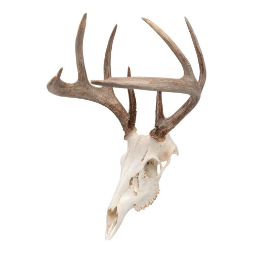 Allen Company EZ Mount Skull Peg Hook