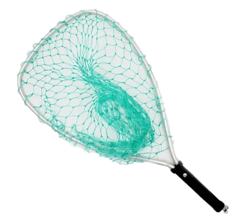 Eagle Claw Trout Net