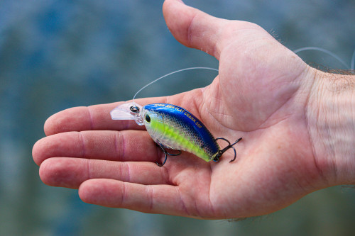 Yo-Zuri 3DR-X Flat Crank