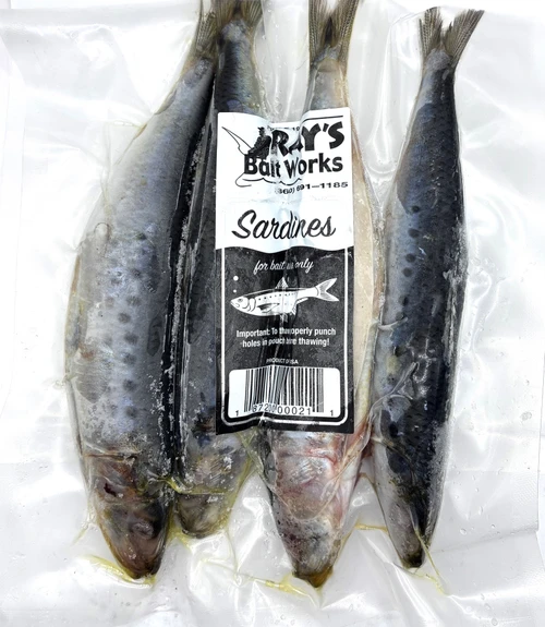 Ray's Bait Sardines